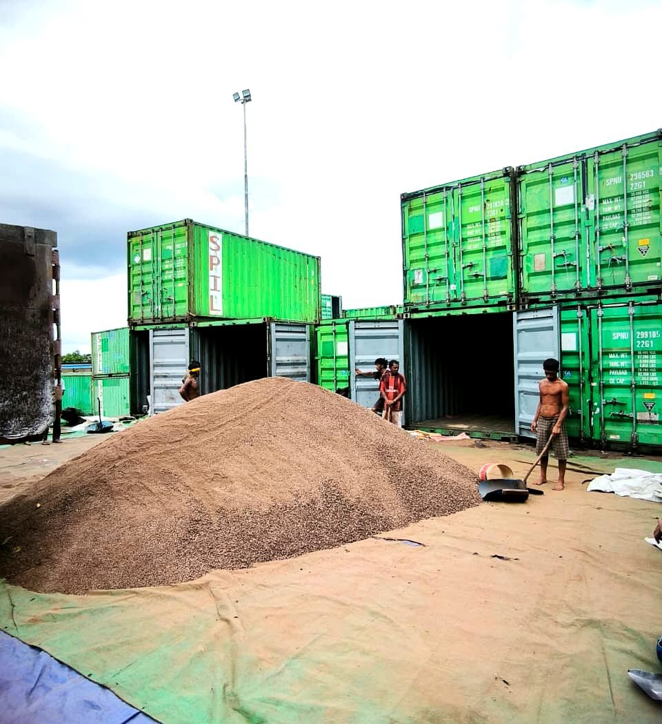 Raw Palm Kernel